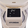 Электрический чайник Hyundai HYK-G7700 Электрический чайник Hyundai HYK-G7700