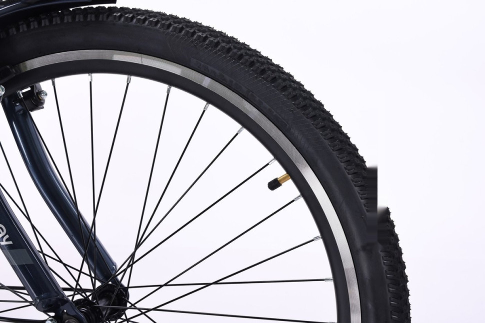 Электровелосипед MyWay Let 1.0 250 26 Pro (синий) Электровелосипед MyWay Let 1.0 250 26 Pro (синий)