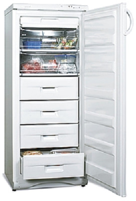 Морозильник Snaige F 245-1704AA Морозильник Snaige F 245-1704AA