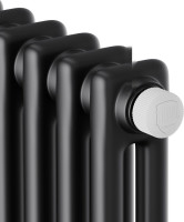 Радиатор Royal Thermo Insignia VC2180 - 08 секций RAL9005m