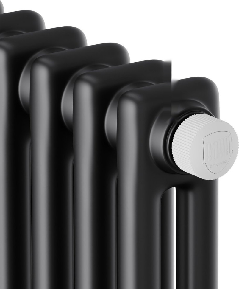 Радиатор Royal Thermo Insignia VC2180 - 08 секций RAL9005m