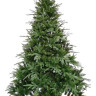 Ель Winter Glade Герда 2.1м (102210) Ель Winter Glade Герда 2.1м (102210)
