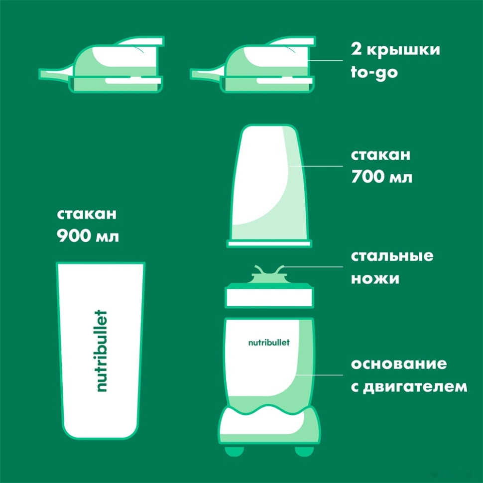 Блендер NutriBullet NB100DG Pro