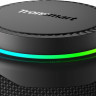 Портативная акустика Tronsmart T8 (черный)