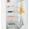 Однокамерный холодильник Liebherr Rf 5000 Pure