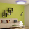 Люстра-тарелка Yeelight Arwen Ceiling Light 550S YLXD013-A