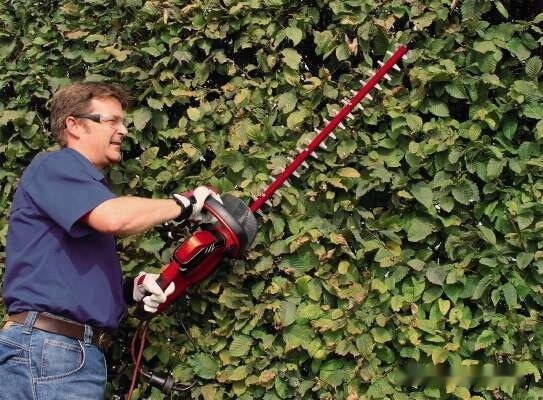 Кусторез Einhell GE-EH 6560