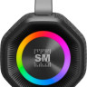 Портативная акустика SoundMAX SM-PS5033B Портативная акустика SoundMAX SM-PS5033B