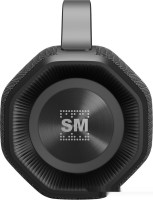 Портативная акустика SoundMAX SM-PS5033B