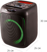 Портативная акустика AIWA CAS-200