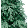 Ель Beatrees Blue Anson 2.1 м (Green) Ель Beatrees Blue Anson 2.1 м (Green)