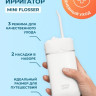 Электрическая зубная щетка Waterdent Mini Flosser