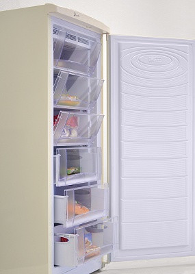 Морозильник NORDFROST DF 165 EAP Морозильник NORDFROST DF 165 EAP