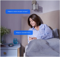 Умная колонка VK Капсула Мини (терракотовый)