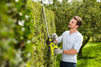 Кусторез Ryobi RHT184520