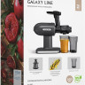 Соковыжималка Galaxy Line GL0813 Соковыжималка Galaxy Line GL0813