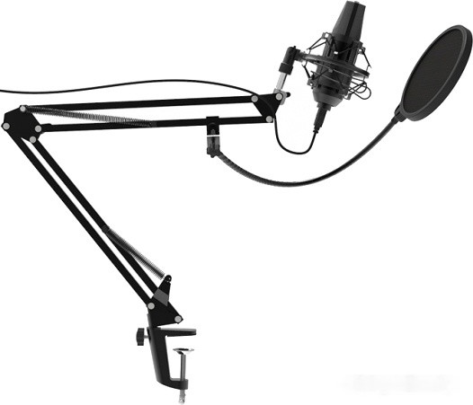 Микрофон Ritmix RDM-180 Микрофон Ritmix RDM-180