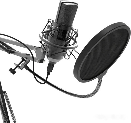 Микрофон Ritmix RDM-180 Микрофон Ritmix RDM-180