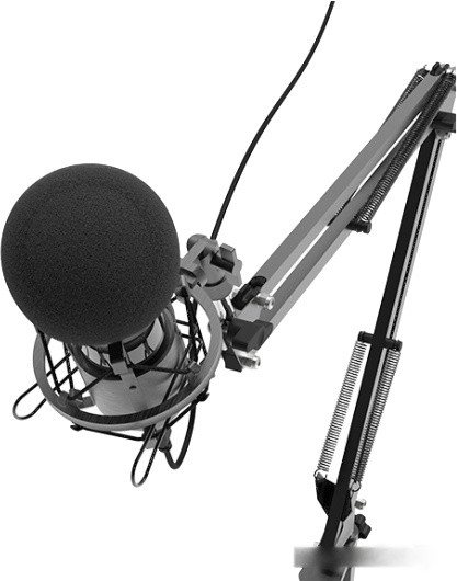 Микрофон Ritmix RDM-180 Микрофон Ritmix RDM-180