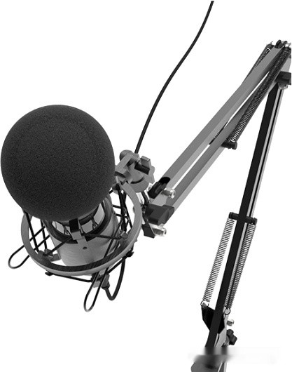 Микрофон Ritmix RDM-180 Микрофон Ritmix RDM-180