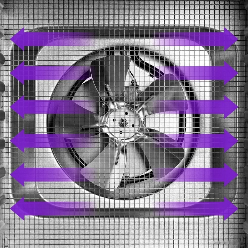 Сушилка для овощей и фруктов Kitfort KT-1965