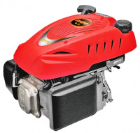 Двигатель RATO RV170 (S)
