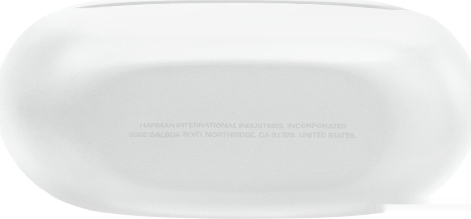 Наушники JBL Endurance Race 2 (белый) Наушники JBL Endurance Race 2 (белый)