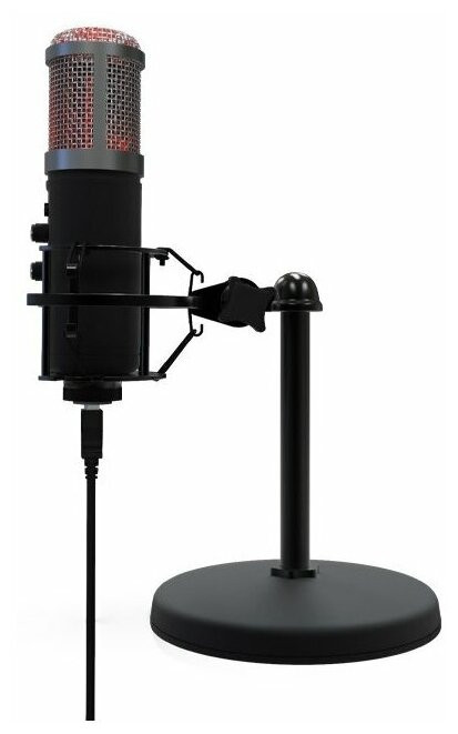 Конденсаторный микрофон Ritmix RDM-260 USB Eloquence Конденсаторный микрофон Ritmix RDM-260 USB Eloquence