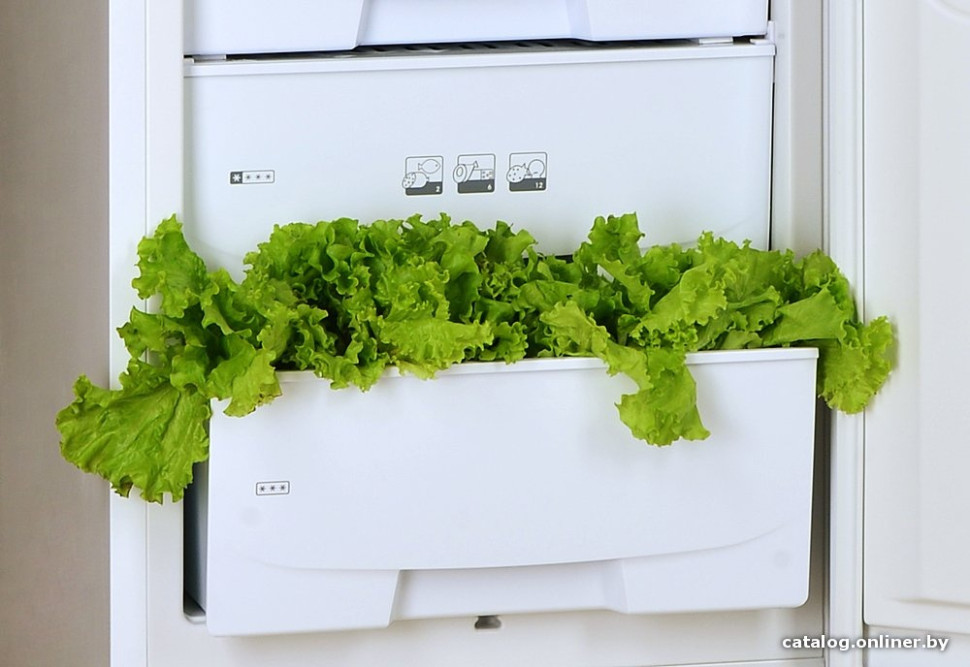 Холодильник Pozis RK-139 (серебро)