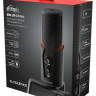 Конденсаторный микрофон Ritmix RDM-290 USB Eloquence Конденсаторный микрофон Ritmix RDM-290 USB Eloquence