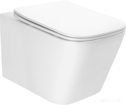 Унитаз Av Engineering Alca Plus AVWHR205 (белый)