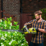 Кусторез Ryobi RHT36C61R-20S (с АКБ 2 Ah) Кусторез Ryobi RHT36C61R-20S (с АКБ 2 Ah)