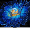 Телевизор TCL 75MQLED70K