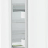 Однокамерный холодильник Liebherr RBe 5220 Plus BioFresh