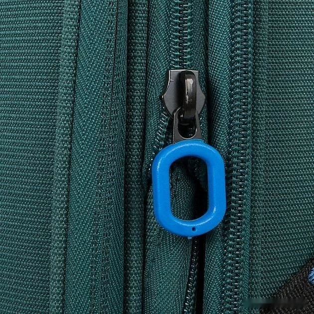 Чемодан-спиннер Francesco Molinary 111-22039W/3-19GRN (зеленый)