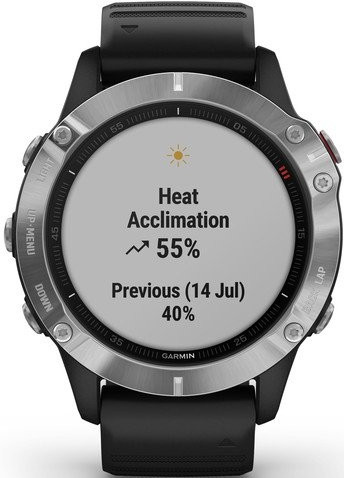 Умные часы Garmin Fenix 6 Solar 47 мм (серебристый/черный)