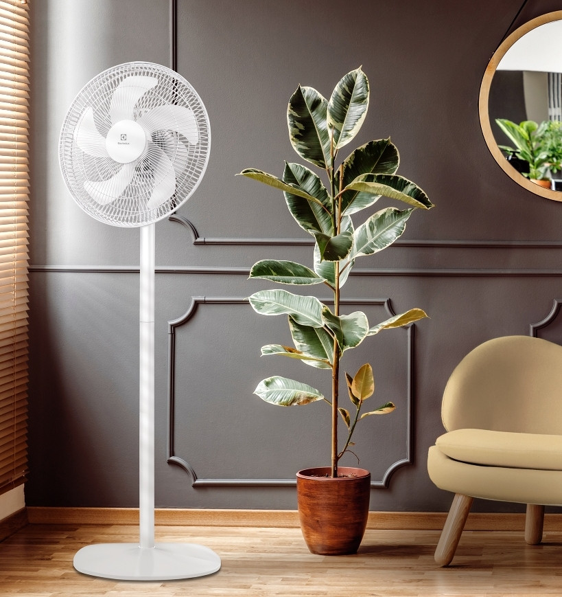 Вентилятор Electrolux EFF-1005 Вентилятор Electrolux EFF-1005