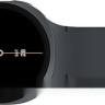 Умные часы Samsung Galaxy Watch8 44 мм LTE (графит)