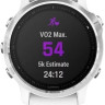 Умные часы Garmin Fenix 6s (серебристый/белый)