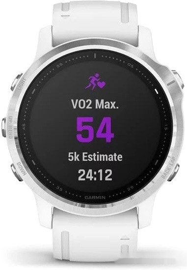 Умные часы Garmin Fenix 6s (серебристый/белый)