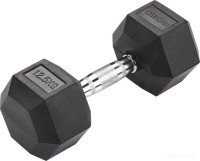 Гантель Indigo IN124 12.5 кг