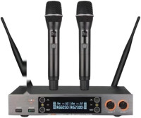 Радиосистема LAudio LS-201-2M