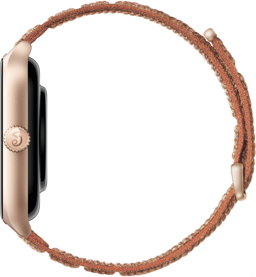 Умные часы Amazfit GTS 4 (золотистый, с коричневым нейлоновым ремешком) Умные часы Amazfit GTS 4 (золотистый, с коричневым нейлоновым ремешком)