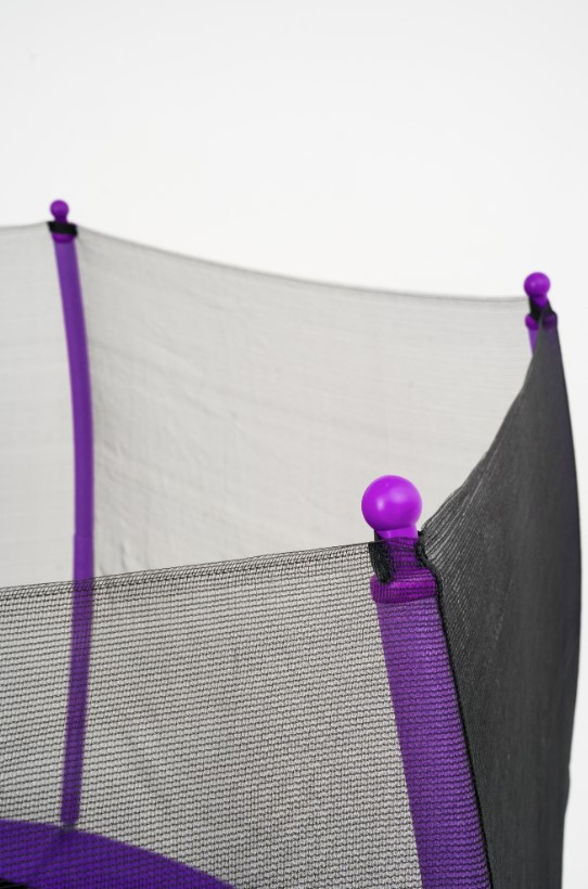 Батут Calviano Outside Master Purple 312 см - 10ft (внешняя сетка, с лестницей) Батут Calviano Outside Master Purple 312 см - 10ft (внешняя сетка, с лестницей)