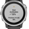 Умные часы Garmin Fenix 6s (серебристый/черный)