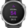 Умные часы Garmin Fenix 6s (серебристый/черный)