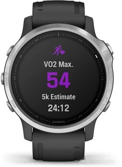 Умные часы Garmin Fenix 6s (серебристый/черный)