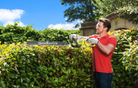 Кусторез Ryobi RHT6760RL