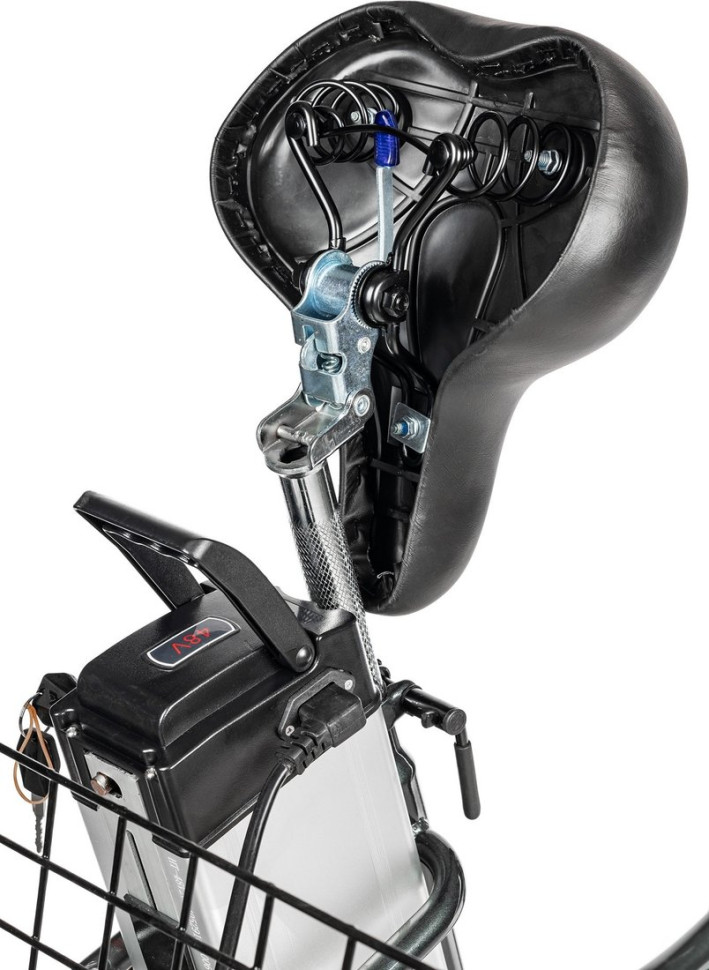 Электровелосипед MyWay Trike 500 20 (17, графитовый матовый) Электровелосипед MyWay Trike 500 20 (17, графитовый матовый)