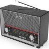 Радиоприемник Ritmix RPR-102 (карбон) Радиоприемник Ritmix RPR-102 (карбон)